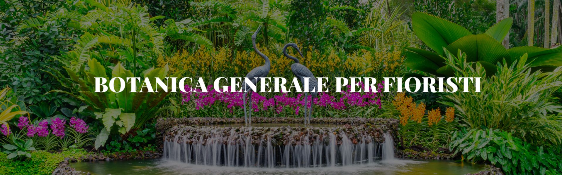 ESAME FINALE BOTANICA GENERALE FEDERFIORI